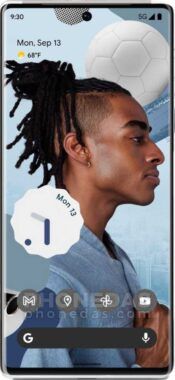 DAS du Google Pixel 6 Pro