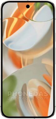 DAS du Google Pixel 9 Pro