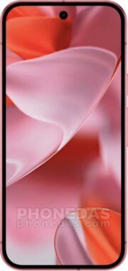 DAS du Google Pixel 9